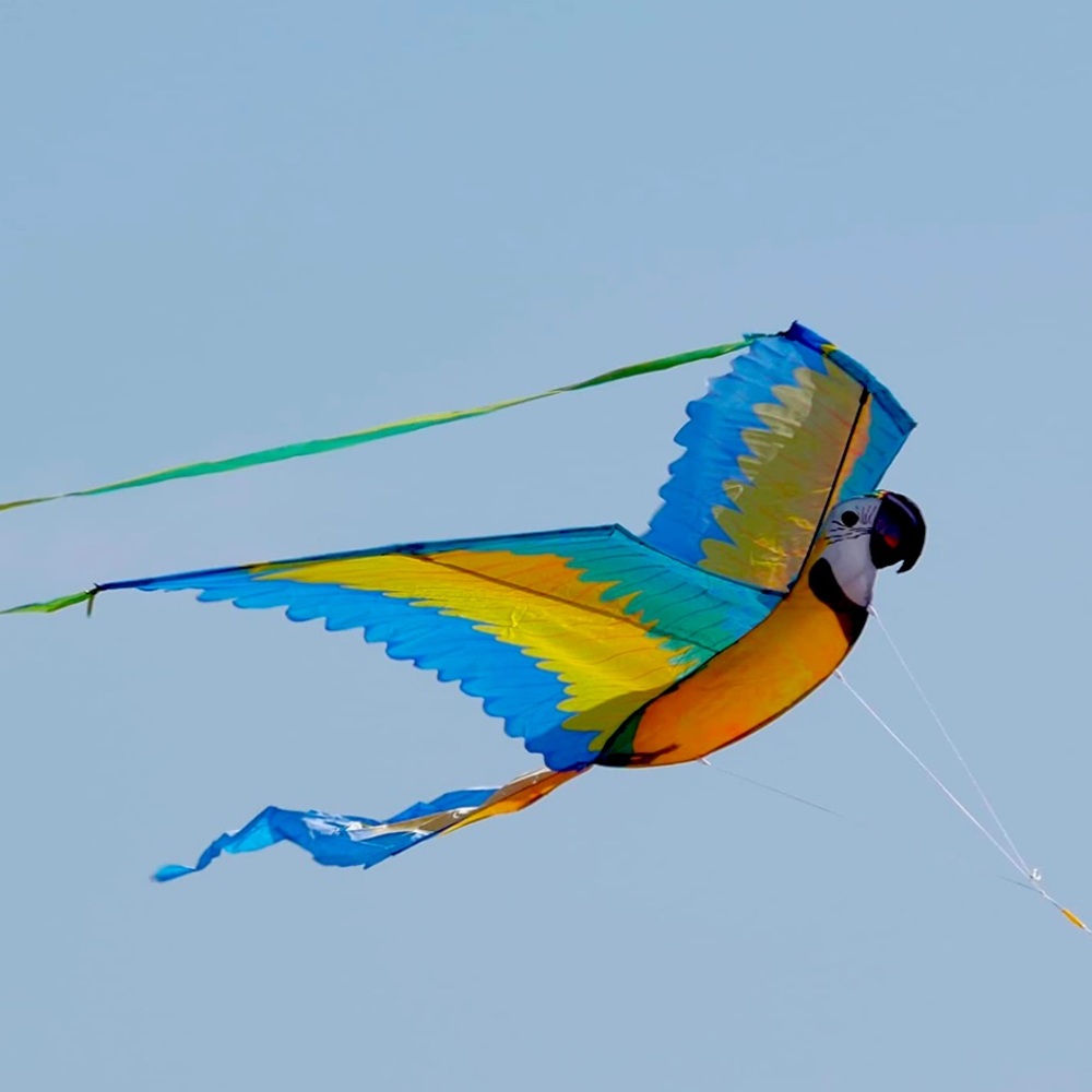 WindNSun Super Size 3D Blue Macaw Nylon Kite, 74 Inches Wide 🪁